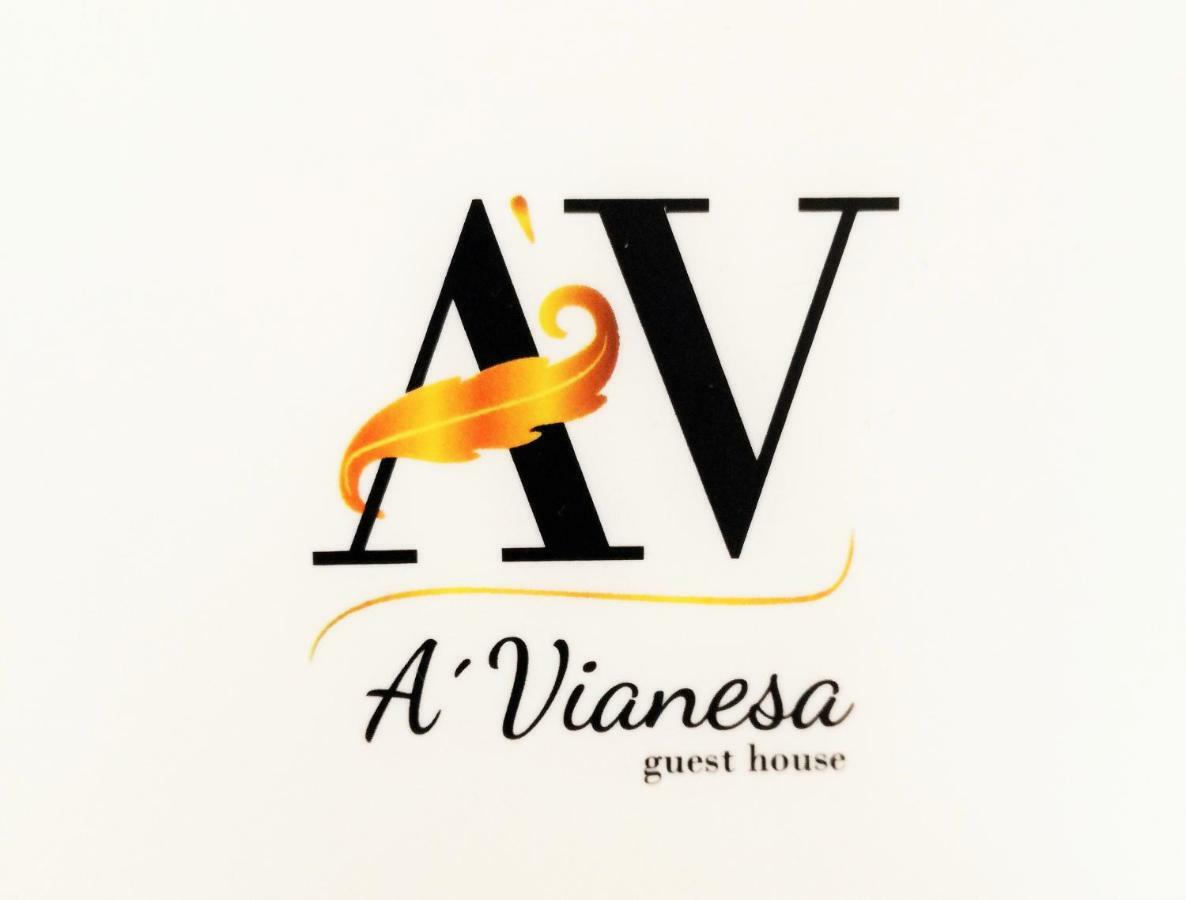 A Vianesa - Guest House 비아나도카스텔로 외부 사진